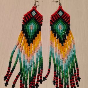 Jungle - Earrings from the Siona (Putumayo)