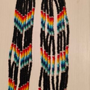 Rainbow Spider - Earrings Siona (Putumayo)