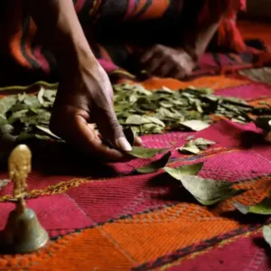 Consultation w/ Coca Leaf Oracle with our Q'ero Elders