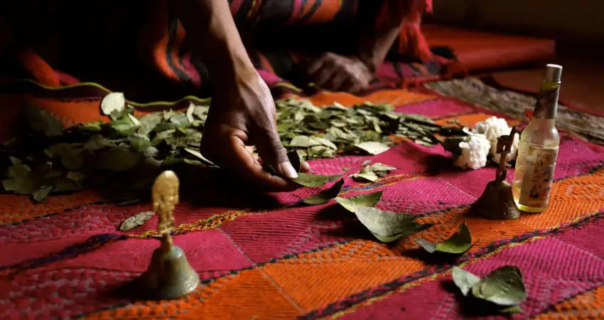 Consultation w/ Coca Leaf Oracle with our Q'ero Elders