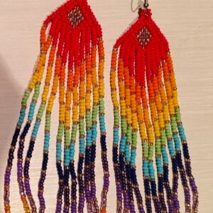 Fire Rainbow - Earrings from the Siona (Putumayo)