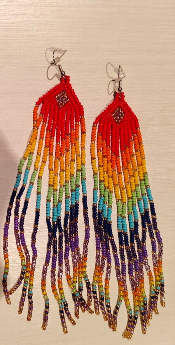 Fire Rainbow - Earrings from the Siona (Putumayo)